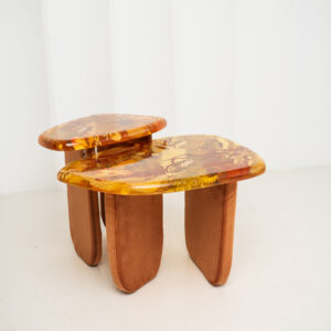 Amber Resin Nesting Coffee Tables with Botanicals and Upholstered legs - Image 1