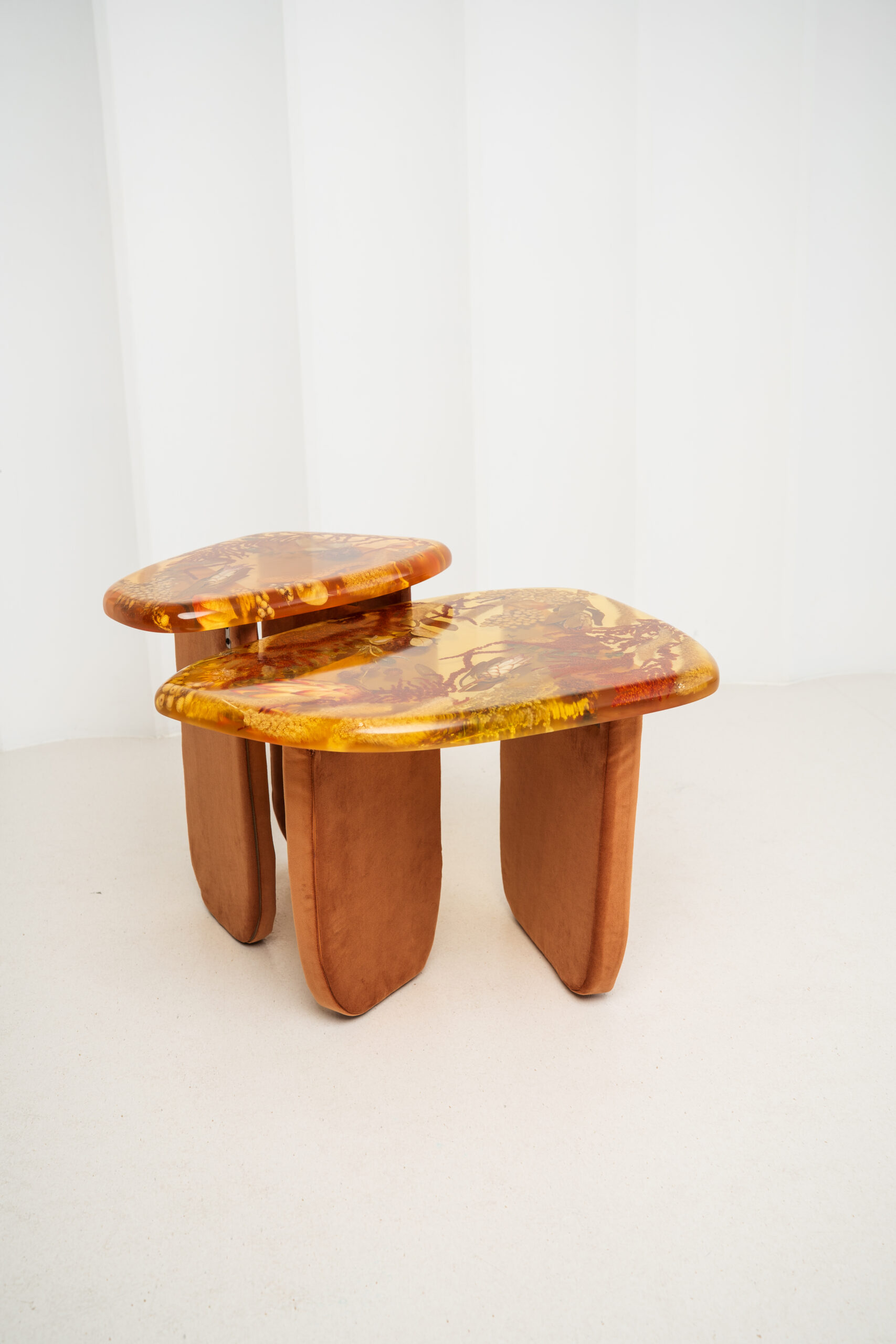 Amber Resin Nesting Coffee Tables with Botanicals and Upholstered legs - Image 1