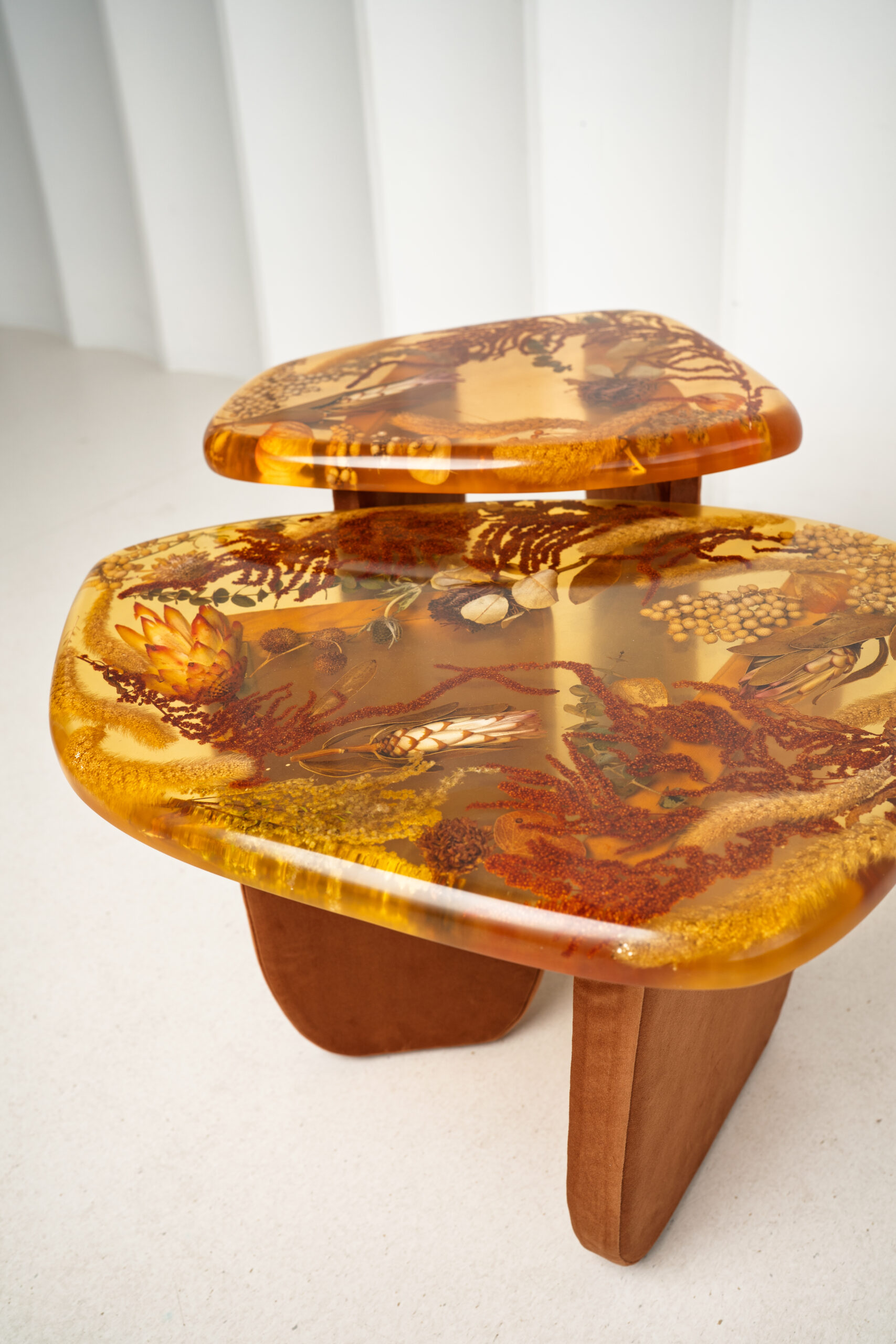 Amber Resin Nesting Coffee Tables with Botanicals and Upholstered legs - Image 2