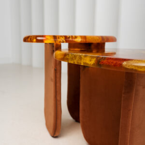 Amber Resin Nesting Coffee Tables with Botanicals and Upholstered legs - Image 5